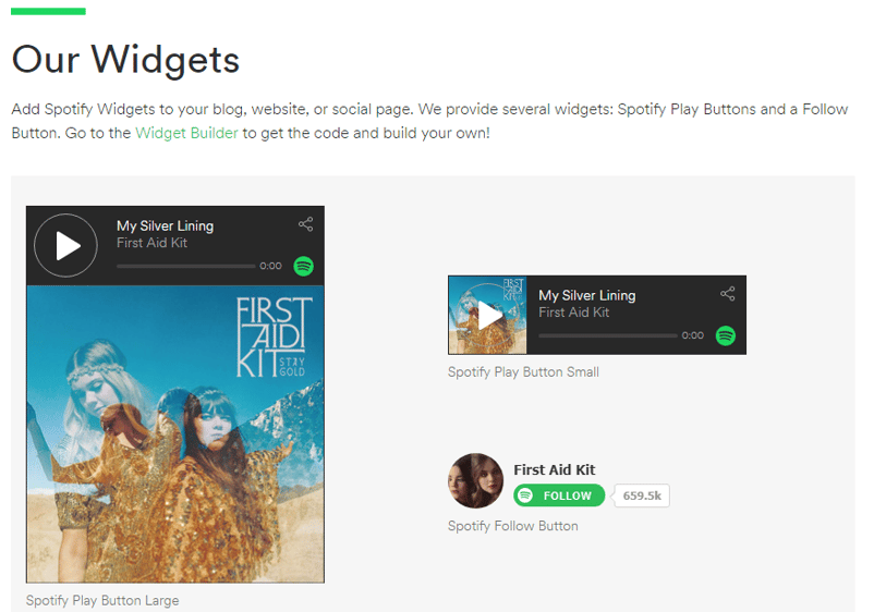 manual de marca spotify