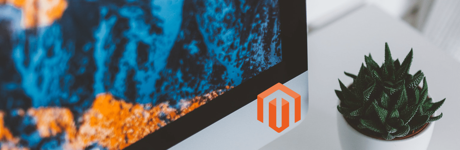 primariu plataforma comercio eletrónico magento