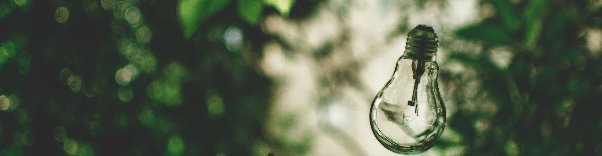light-bulb-2598469-min-min-min.png
